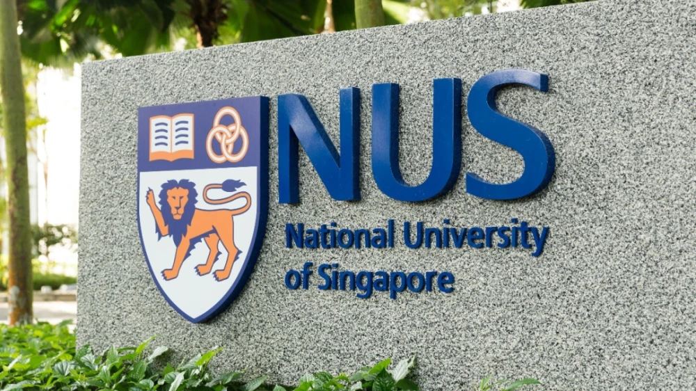 新加坡留学 | 无需英语成绩，国立/南洋理工大学中文授课项目汇总