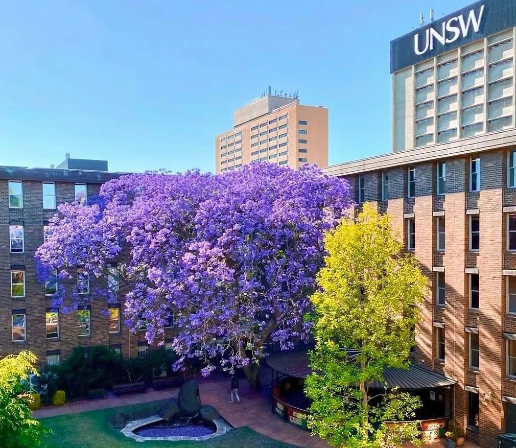 澳洲留学 | 2024年澳洲新南威尔士大学（UNSW）本硕博招生简章