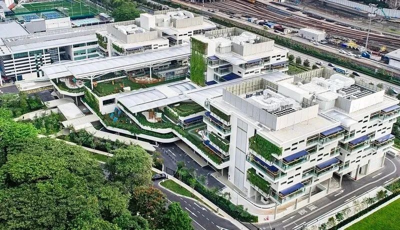 新加坡留学 | 中国人来新加坡留学，有奖学金！附2024开学时间表