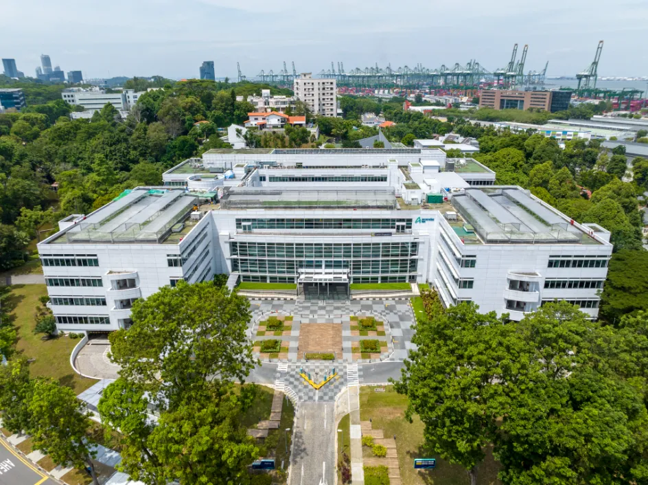 新加坡留学 | 2024年澳洲科廷大学（新加坡分校）本硕招生简章