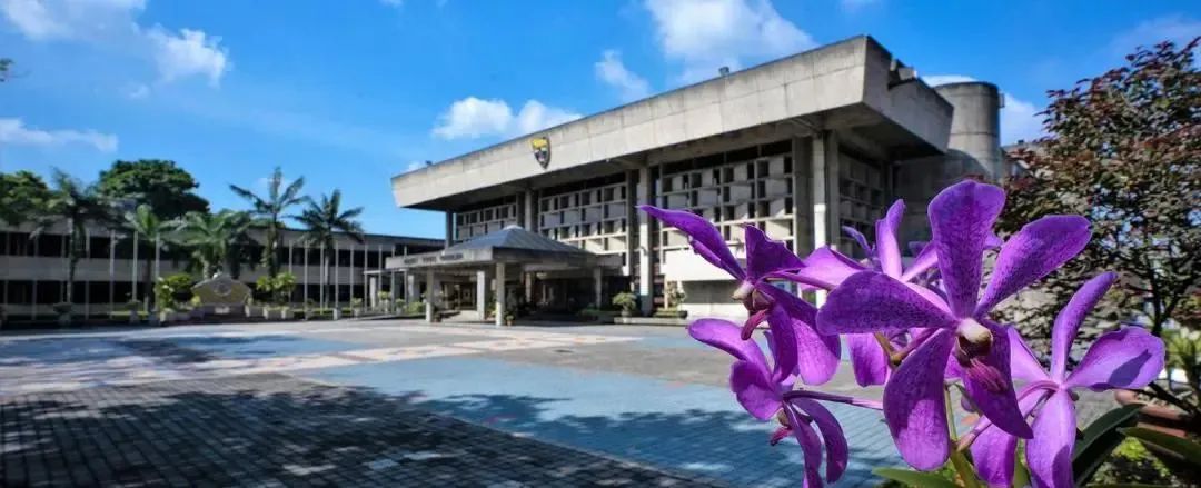 马来西亚留学 | 低分逆袭or名校冲刺？马来西亚17校硕士录取“潜规则”大揭秘