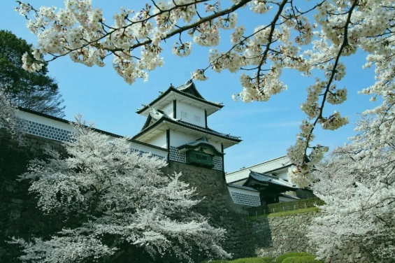 赴日留学预警已发布，还能去日本留学吗？这份理性分析与应对指南请收好