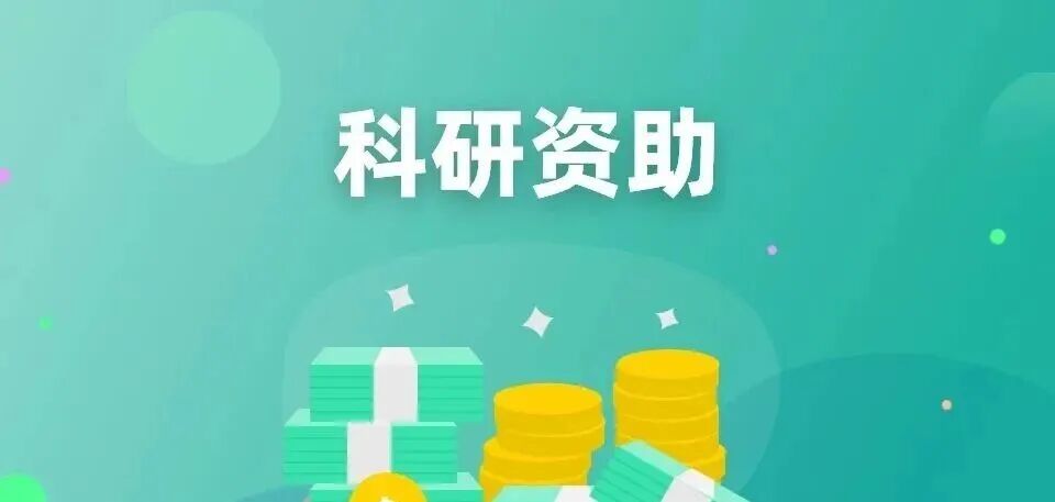 别再错过！留学生回国隐藏福利一篇全搞定：落户、购车、创业补贴深度解析