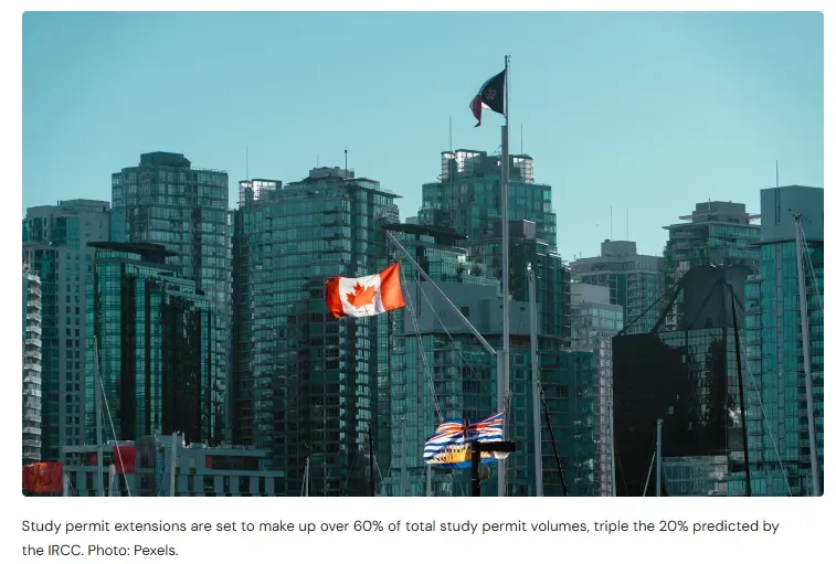 留学风向变了？加拿大2025年国际生签证量或骤降50%